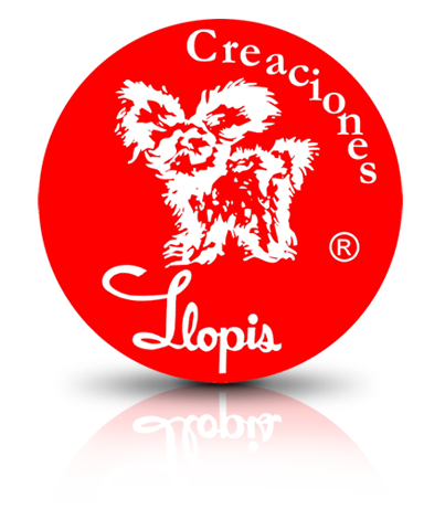 logovicedoreflejo